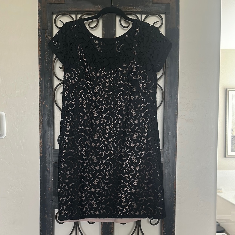Loft Elegant Black Lace Dress